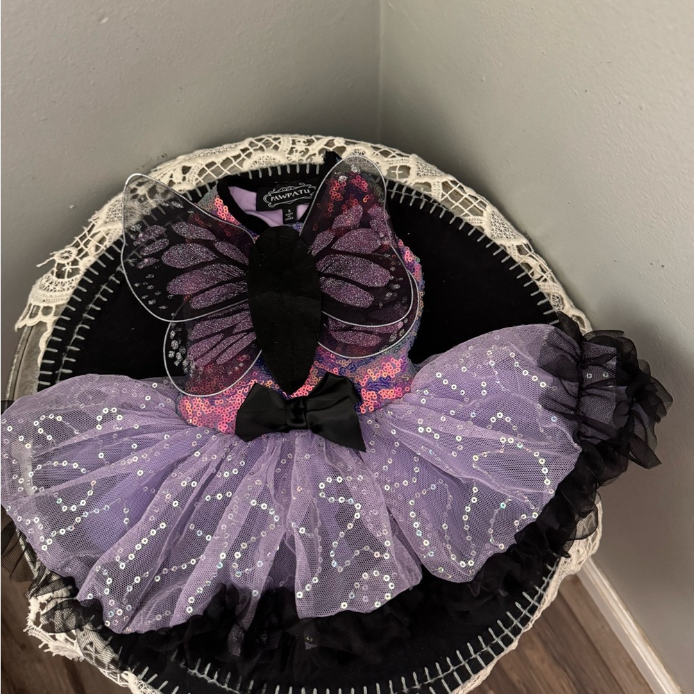 Purple Butterfly Fairy Costume for a Dog